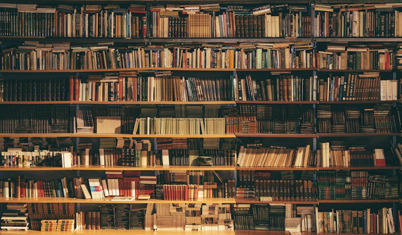 Library with warm light and books that heal