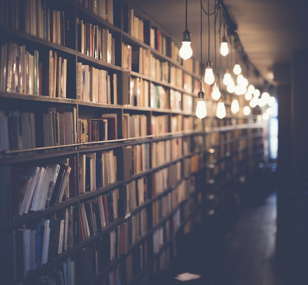 Cozy library shelves